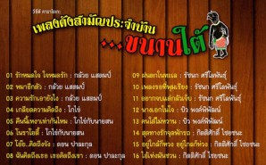 เพลงดังสามัญประจำบ้าน - ขวานใต้ VCD1811-web2